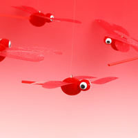 �ԃg���{�i���j�@5�Z�b�g