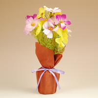 �R�X���X�~�b�N�X�|�b�g