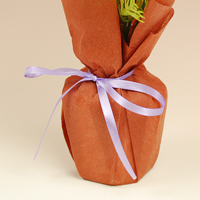 �R�X���X�~�b�N�X�|�b�g