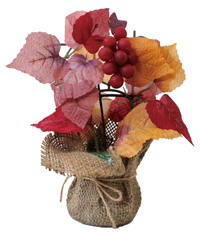 �~�j�����K�|�b�g�g�t