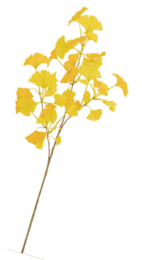 �C�`���E�X�v���C