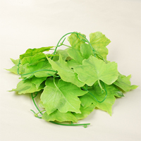 �W�����{�O���[�v�K�[�����h