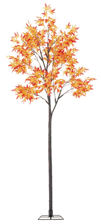 ���C�v���c���[