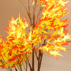 ���C�v���c���[