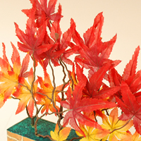 �~�j�����K�|�b�g�g�t