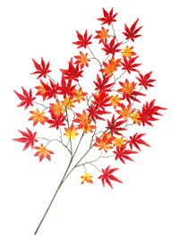 �g�t�X�v���[DX