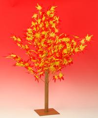 �g�t�c���[