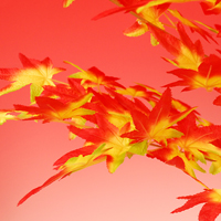 �g�t�c���[