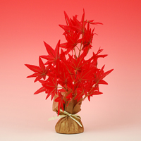 �L���[�g���b�v�g�t�|�b�g�i�ԁj