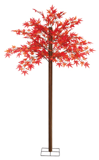 �g�t����