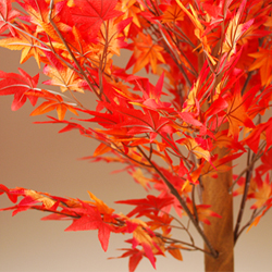 �g�t����