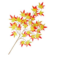 ���݂����}�i�I�����W�j