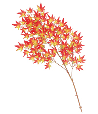 ���݂���}�i�I�����W�j