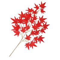 ���݂����}�i�ԁj