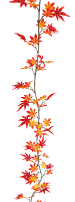 �R�X���X�K�[�����h