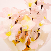 �L���[�g���b�v���|�b�g