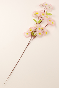 �l�G�̑��ԁ@�V���N�����}