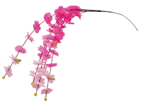 �g����V�_��