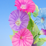 �Ă̑����@����L���[�g���b�v