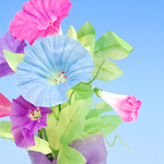 �Ă̑����@����L���[�g���b�v