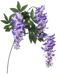 ���X�v���C3��