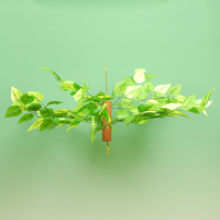 �O���[�����[�t�Z���^�[