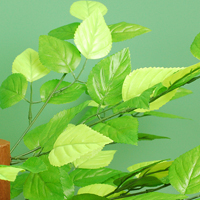 �O���[�����[�t�Z���^�[