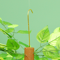 �O���[�����[�t�Z���^�[