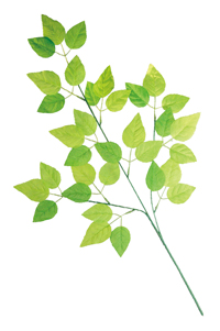 �O���[�����[�t���}