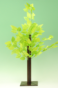 �O���[�����[�t����