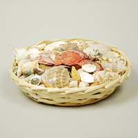 �C���e���A�V�F��