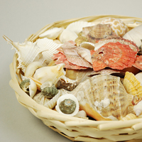 �C���e���A�V�F��