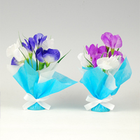 �~�j�L���[�g���b�v�����