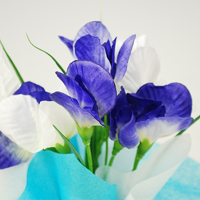 �~�j�L���[�g���b�v�����