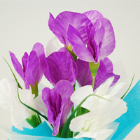 �~�j�L���[�g���b�v�����