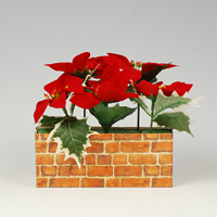 �L���[�g���b�v�|�C���Z�`�A