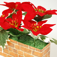 �L���[�g���b�v�|�C���Z�`�A