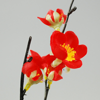 �V���N�~�}�i�ԁj