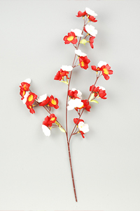 �~�X�v���[�i�g���~�b�N�X�j