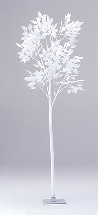 �z���C�g���[�t�c���[