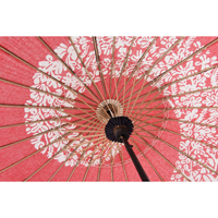 �x��P�E�a�P�i���j�@��