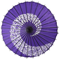 �x��P�E�a�P�i���j�@��