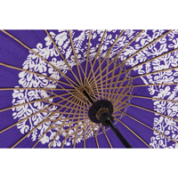 �x��P�E�a�P�i���j�@��