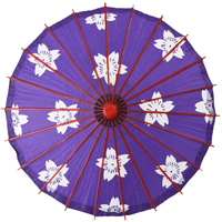 �C�x���g�p�i�@�q�ǂ��p�x��P�E�a�P�i���j