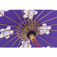 �C�x���g�p�i�@�q�ǂ��p�x��P�E�a�P�i���j