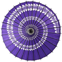 �x��P�E�a�P�i���������j�@��