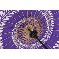 �x��P�E�a�P�i���������j�@��