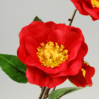 �ցi4�ցj�@��