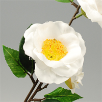 �ցi4�ցj�@��