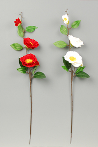 �ցi�΂��j